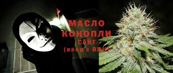 амф Коряжма
