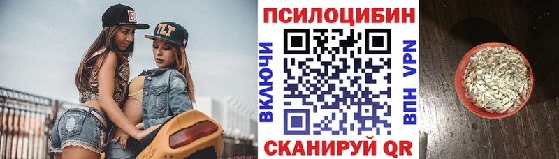 Галлюциногенные грибы Magic Shrooms Весьегонск
