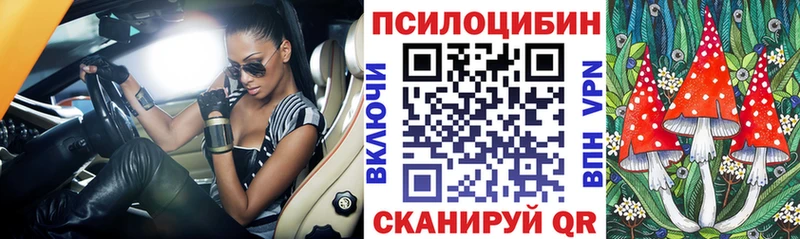 Галлюциногенные грибы мухоморы  где продают наркотики  Весьегонск 