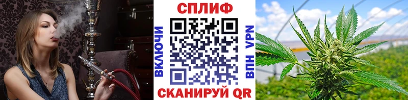 закладка  Весьегонск  Канабис Ganja 